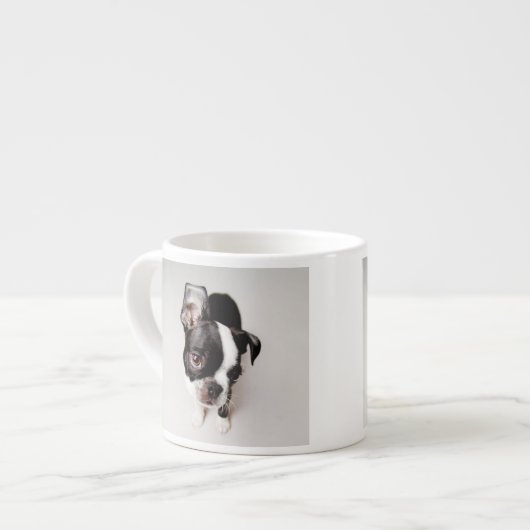 Welpe Edison Boston Terrier Espressotasse (Vorderseite Links)