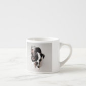Welpe Edison Boston Terrier Espressotasse (Rechts)