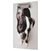 Welpe Edison Boston Terrier Klemmbrett (Links)