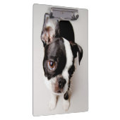 Welpe Edison Boston Terrier Klemmbrett (Rechts)