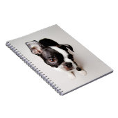 Welpe Edison Boston Terrier Notizblock (Rechte Seite)