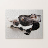 Welpe Edison Boston Terrier Puzzle (Horizontal)