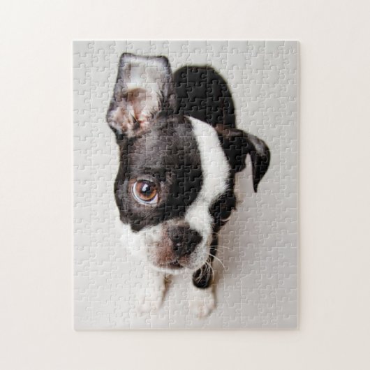 Welpe Edison Boston Terrier Puzzle (Vertikal)