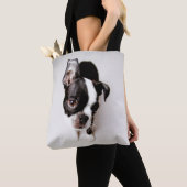 Welpe Edison Boston Terrier Tasche (Von Nahem)