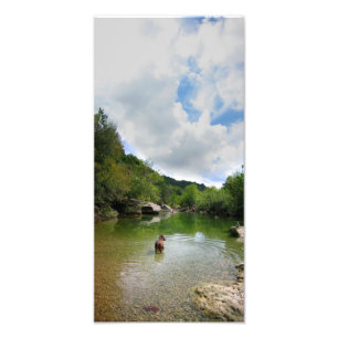 Welpe Exploration Barton Creek - Austin Texas Fotodruck