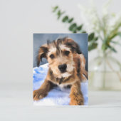 Welpe Feiertagspostkarte (Stehend Vorderseite)