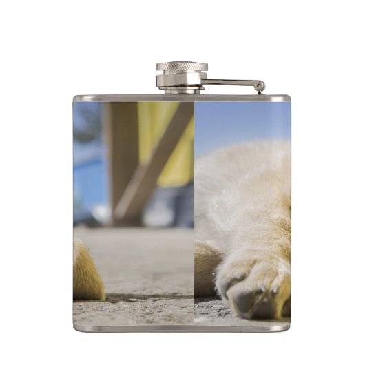 Welpe Flachmann (Rückseite)