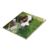 Welpe Fliese (Seite)
