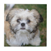 Welpe Fliese (Vorderseite)