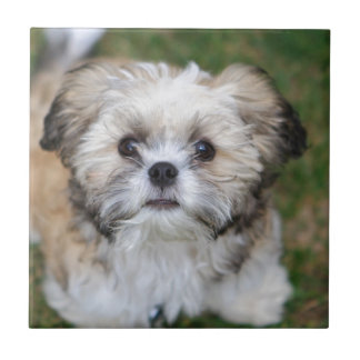 Welpe Fliese