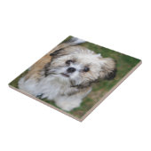 Welpe Fliese (Seite)