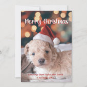 Welpe Foto Frohe Weihnachten (Vorderseite)