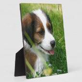 Welpe Fotoplatte (Seite)