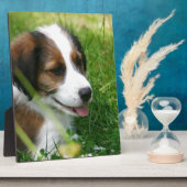 Welpe Fotoplatte (Seite)