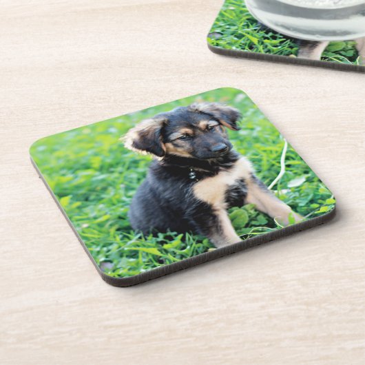 Welpe Getränkeuntersetzer (Linke Seite)