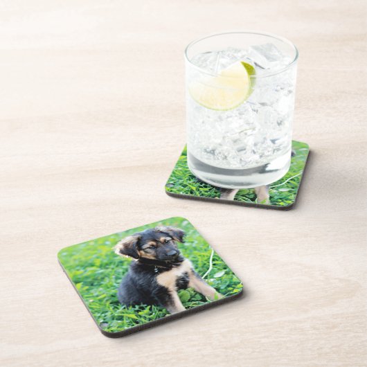Welpe Getränkeuntersetzer (Rechte Seite)