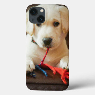 Welpe Getty Bild- auf einem Sofa iPhone 13 Hülle