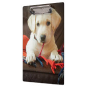 Welpe Getty Bild-| auf einem Sofa Klemmbrett (Links)