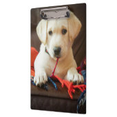 Welpe Getty Bild-| auf einem Sofa Klemmbrett (Links)