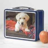 Welpe Getty Bild-| auf einem Sofa Metall Lunch Box (Beispiel)