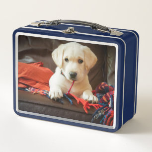 Welpe Getty Bild-  auf einem Sofa Metall Lunch Box