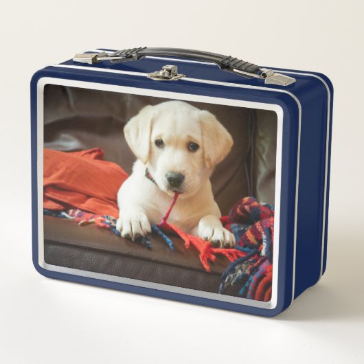 Welpe Getty Bild-| auf einem Sofa Metall Lunch Box (Vorderseite)