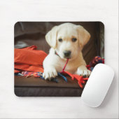 Welpe Getty Bild-| auf einem Sofa Mousepad (Mit Mouse)