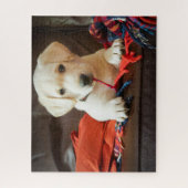 Welpe Getty Bild-| auf einem Sofa Puzzle (Vertikal)