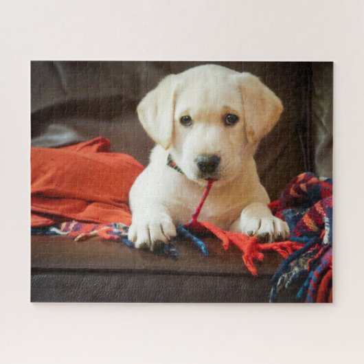 Welpe Getty Bild-| auf einem Sofa Puzzle (Horizontal)