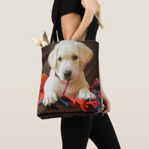Welpe Getty Bild-  auf einem Sofa Tasche