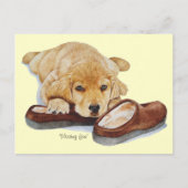 Welpe-Golden Retriever-Hundeportrait vermisst Postkarte (Vorderseite)