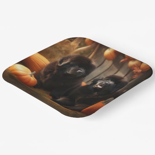 Welpe Herbst Kürbis Pappteller (Gewinkelt)