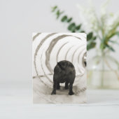 Welpe Hintern Postkarte (Stehend Vorderseite)