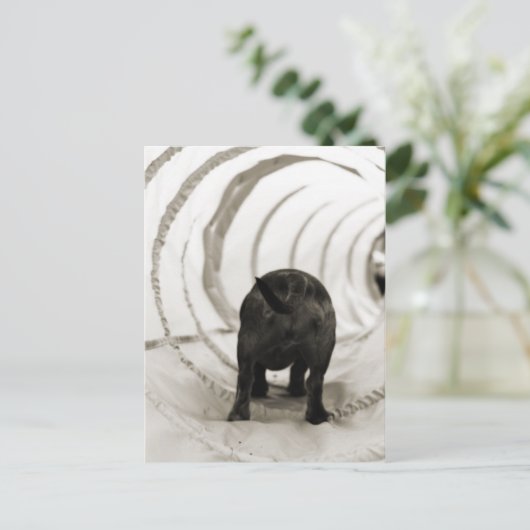 Welpe Hintern Postkarte (Stehend Vorderseite)