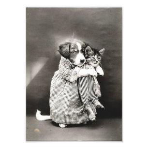 Welpe Holding Small Kitten Fotodruck