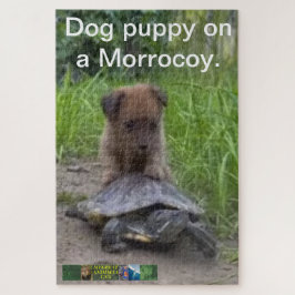 Welpe Hund ​ auf einem Morrocoy ​ Rätsel. Puzzle