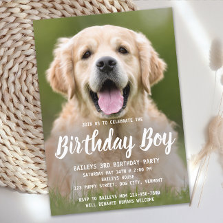 Welpe Hund Geburtstagsparty Foto Einladung
