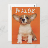 Welpe Hund ich bin ganz Ohr, Niedlich Meme Postkarte (Vorne/Hinten)