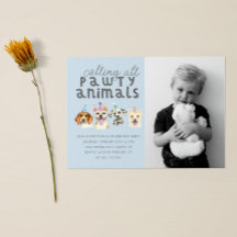 Welpe Hund Party Tiere Geburtstag Foto