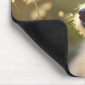 Welpe Hunde Tier Transittier Friedlich Mousepad (Ecke)