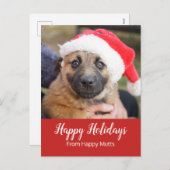 Welpe im feiertagspostkarte (Vorne/Hinten)