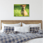 Welpe im Gras Leinwanddruck (Insitu (Schlafzimmer))
