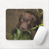 Welpe im Gras Mousepad (Mit Mouse)
