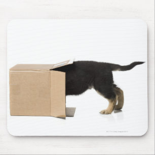 Welpe im Sammelpack Mousepad