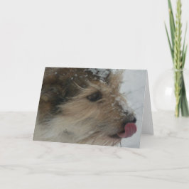 Welpe im Schnee Karte