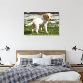Welpe im Schnee spielen Leinwanddruck (Insitu (Schlafzimmer))