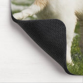 Welpe im Schnee spielen Mousepad (Ecke)