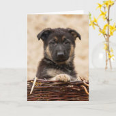 Welpe in Basket Karte (Gelbe Blume)
