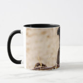Welpe in Basket Tasse (Links)