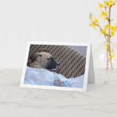 Welpe in Blanket Karte (Gelbe Blume)